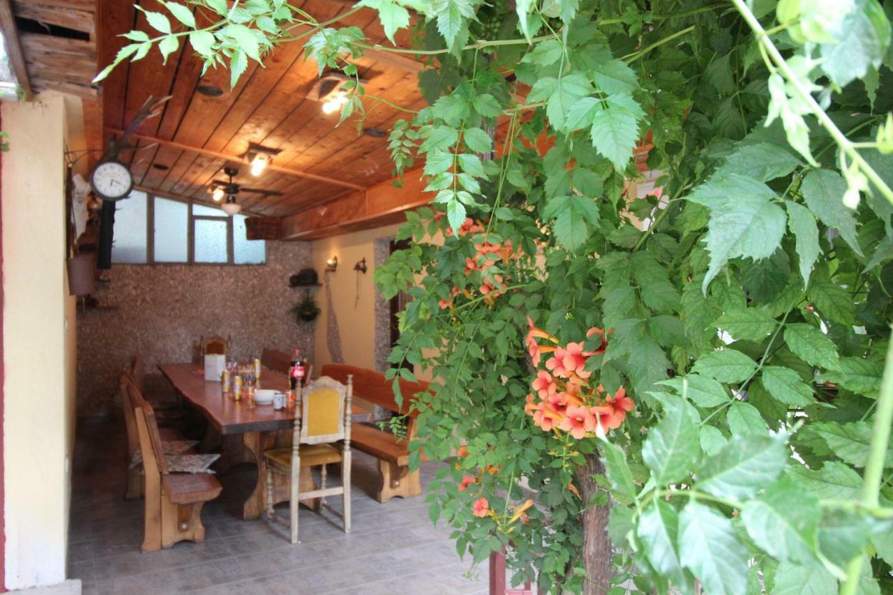 Apartmani Irena Novi Vinodolski Esterno foto